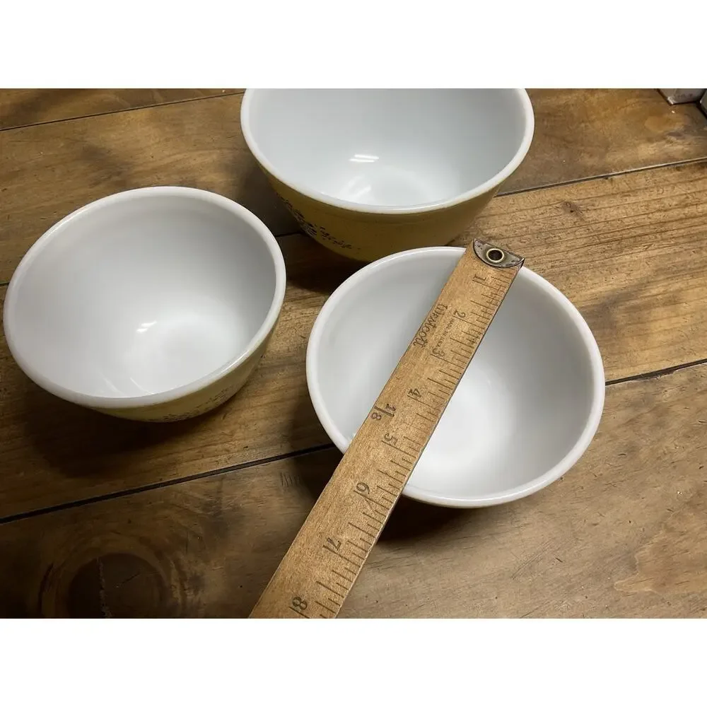 Pyrex vintage homestead